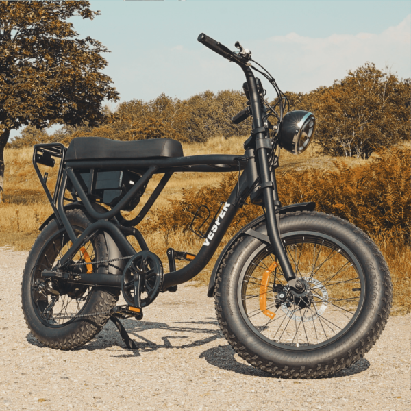 Elektrische Fiets en Vesper verhuur - Hotel Villa Ruimzicht