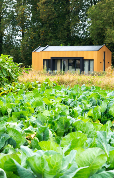 Ontwerp zonder titel-18