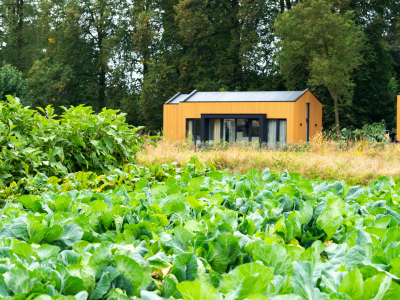 Ontwerp zonder titel